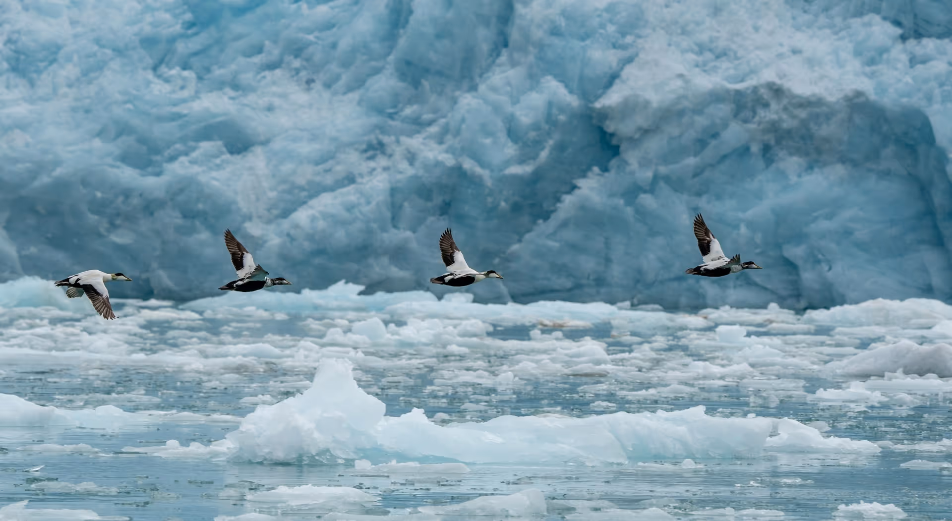 物归（PlacePing）